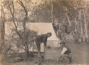 Um Emu Eggers Camp